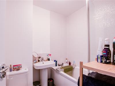 Picture 19